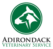 Adirondack Veterinary Service